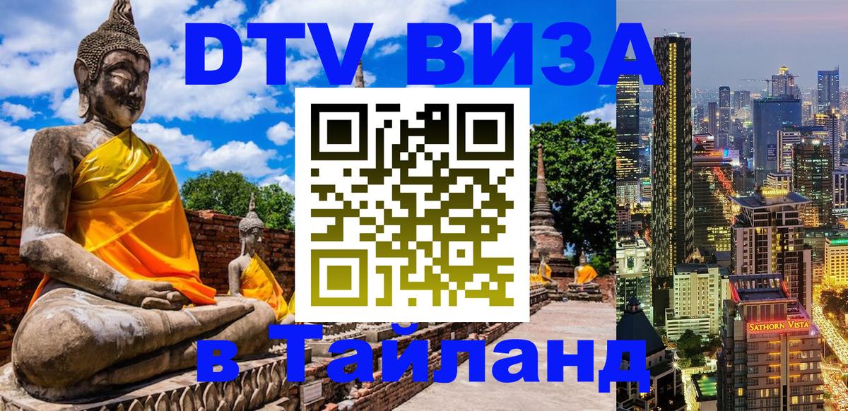 Сколько стоит DTV виза — актуальные цены, оформление даже без документов - 22.11.2025 